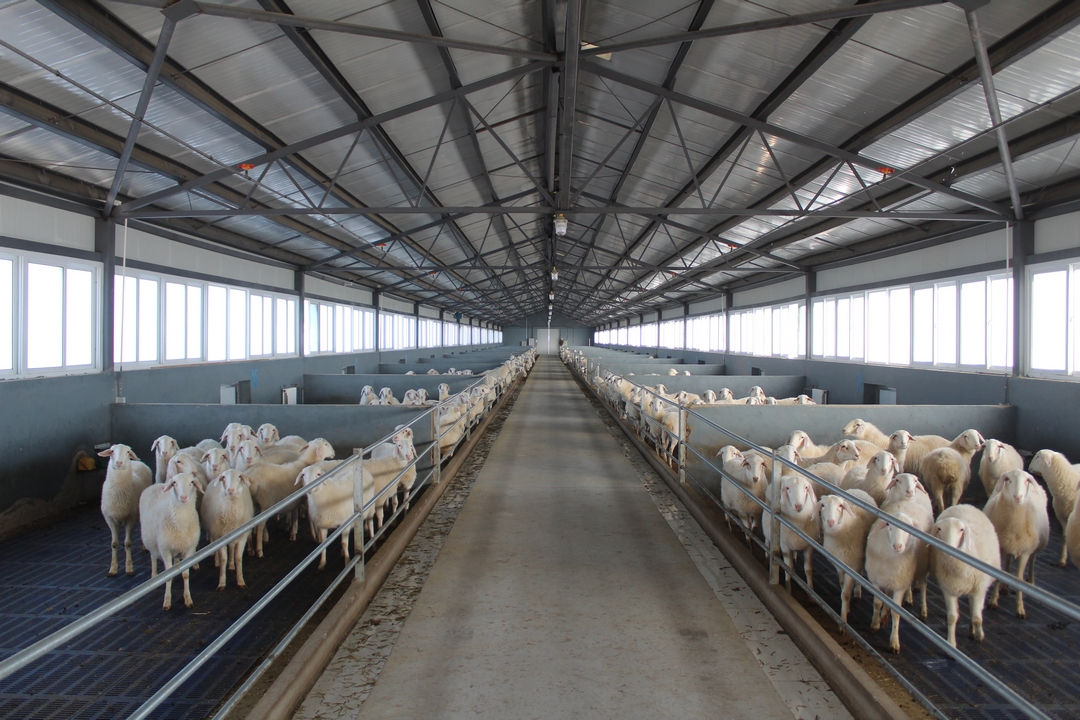 當好產(chǎn)業(yè)扶貧主力軍，打贏脫貧攻堅戰(zhàn)