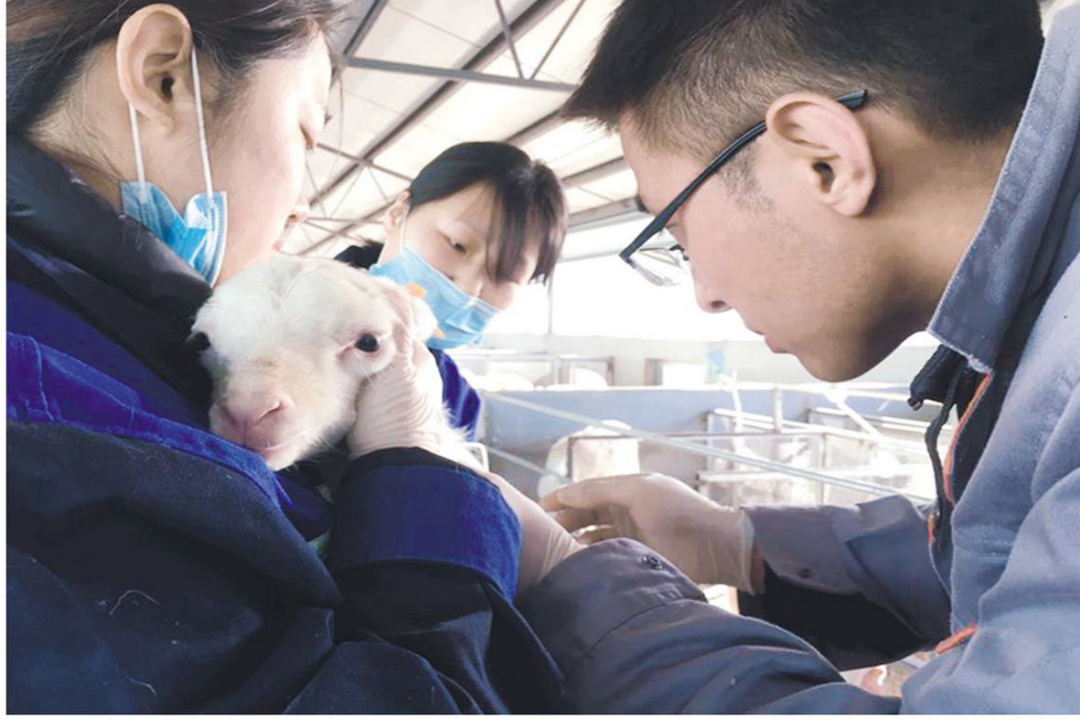 當好產(chǎn)業(yè)扶貧主力軍，打贏脫貧攻堅戰(zhàn)